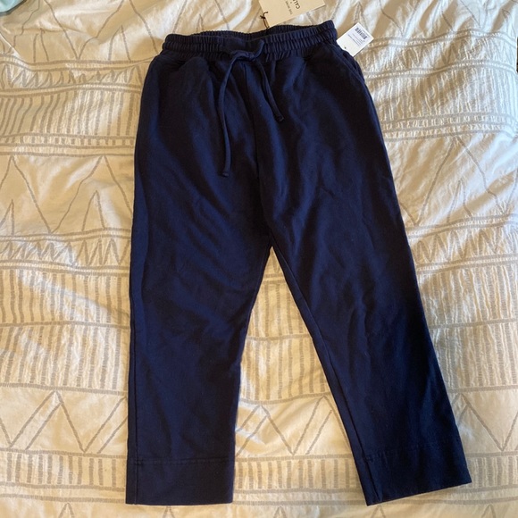 NWT Calpak x The Home Edit Relaxed French Terry Joggers Sweatpants Navy Blue M - Picture 5 of 7